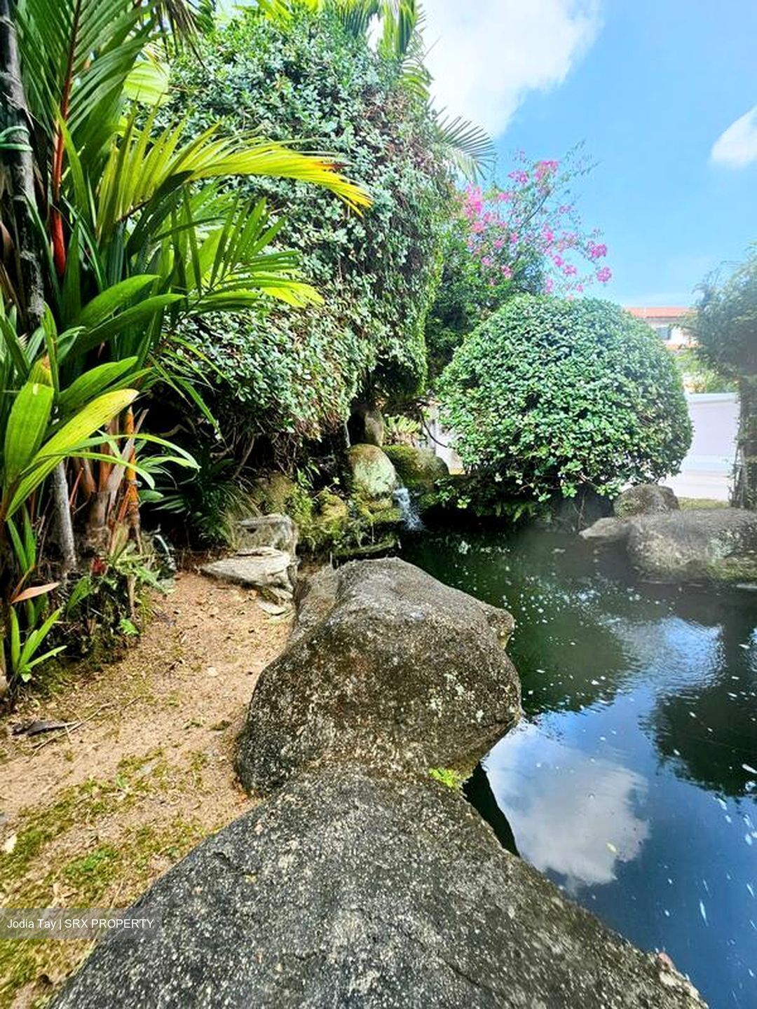 La Quinta Park (D19), Terrace #525450111